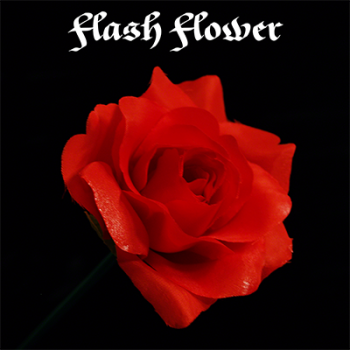 Red Flash Flower (2pk.) - by Magic Home (Erscheinende Rose, 2 Stc., Blumen)